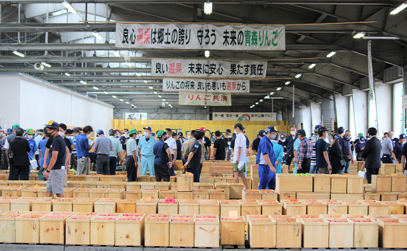 【3月発送】家庭用 サンふじ 約3kg 果物類 フルーツ 林檎 リンゴ 鶴田町 青森県 おやつ デザート