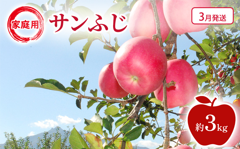 【3月発送】家庭用 サンふじ 約3kg 果物類 フルーツ 林檎 リンゴ 鶴田町 青森県 おやつ デザート