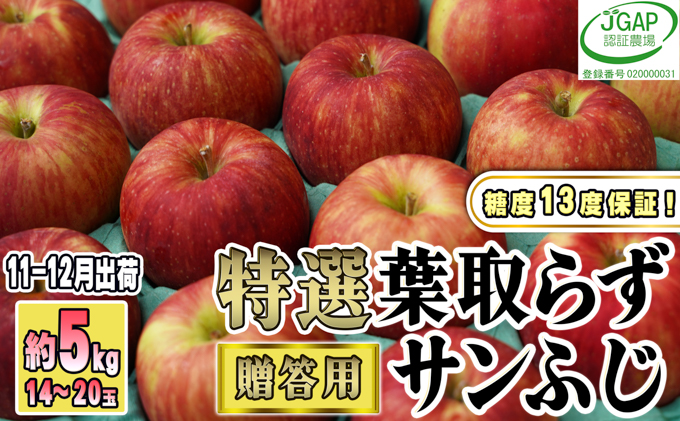 11～12月発送【糖度保証】贈答用 葉取らず サンふじ 約5kg 【特選】【鶴翔りんごGAP部会 青森県産 津軽産 リンゴ 林檎】:  鶴田町ANAのふるさと納税