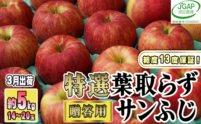 3月発送【糖度保証】 贈答用 葉取らず サンふじ 約5kg 【特選