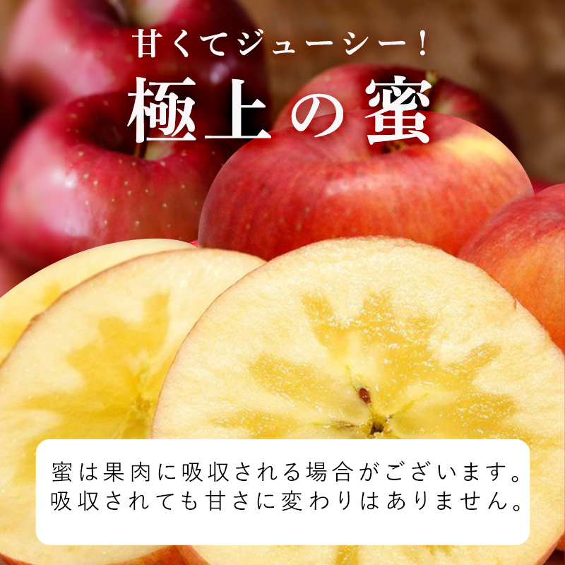 りんご【11月発送】蜜入り 糖度13度以上 おもてなし品  葉とらず サンふじ 約5kg【青森りんご 果物 フルーツ 産地直送 糖度測定 褐変 チェック 贈り物 年末 挨拶 お土産】
