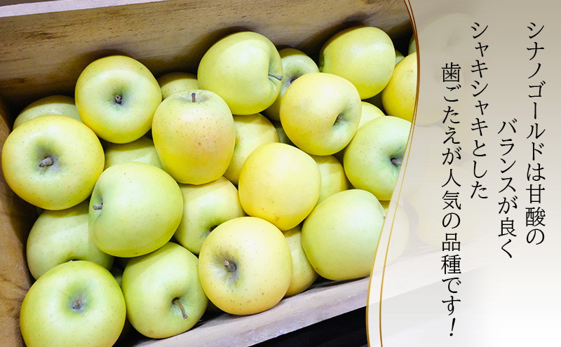 りんご【1月・2月発送】糖度13度以上 訳あり品 家庭用 シナノゴールド 約10kg【青森りんご  果物 フルーツ デザート 食後 青森県産 産地直送】