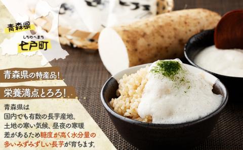 青森県産　冷凍長芋とろろパック　50g×36個　【02402-0163】