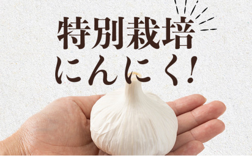 抑臭にんにく ALサイズ2kg 【国産 にんにく A級品 ALサイズ 新鮮 野菜 長期保存 健康 贈り物 ギフト 東北 青森県 七戸町 送料無料】【02402-0320】