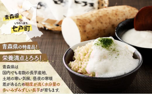 【2ヶ月定期便】ネバリスター冷凍とろろパック(50g×30個) 【長芋 山芋 イチョウ芋 大和芋 とろろ 粘り 冷凍 小分け パック 個包装 簡単 便利 プレーン 贈り物 贈答 ギフト 青森県 東北】【02402-0340】