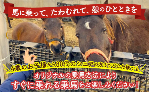 ホースレジャーinしちのへ 30分乗馬体験【乗馬 体験 青森県 七戸町】【02402-0346】