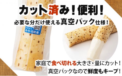 【七戸産】長芋 3kg（家庭用カット/真空パック）【山芋 ながいも とろろ 白米 ご飯のお供 粘り ヘルシー あっさり 新鮮 野菜 青森県 七戸町 常温 贈り物 お中元 ギフト】【02402-0354】