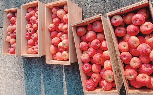 りんご玄米茶の2個セット　【02402-0377】