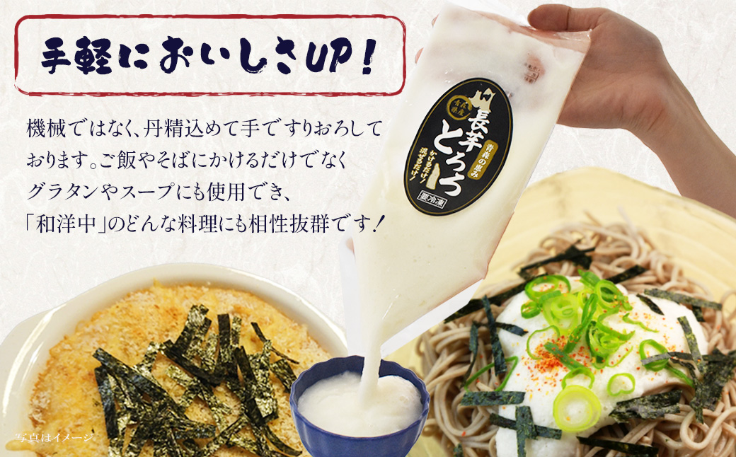 冷凍とろろ　200ｇ×5パック　【02402-0382】