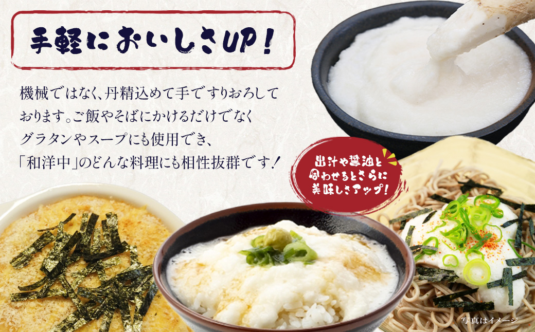 冷凍とろろ　500g×1パック　【02402-0384】