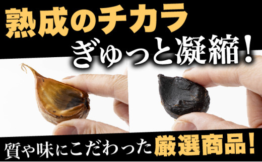 ⿊にんにく 500g×1パック【国産 にんにく 新鮮 野菜 長期保存 健康 贈り物 ギフト 東北 青森県 七戸町 送料無料】【02402-0386】