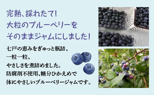 減農薬＜甘さ控えめ＞ブルーベリージャム（200ｇ）2個セット　【02402-0429】