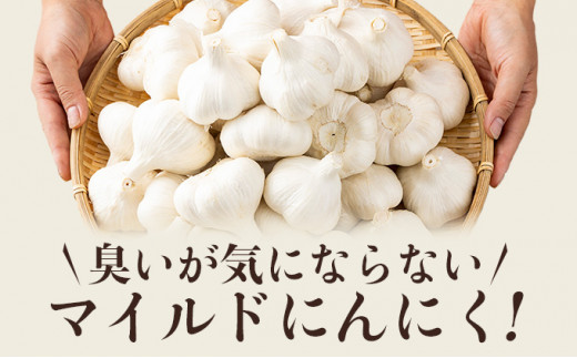 マイルドにんにく A級品 Lサイズ3kg【国産 にんにく A級品 Lサイズ 新鮮 野菜 長期保存 健康 贈り物 ギフト 東北 青森県 七戸町 送料無料】【02402-0318】
