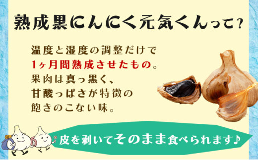 黒にんにくLサイズ贈答用8個入り【黒にんにく にんにく ガーリック 詰め合わせ 個包装 箱入り 贈り物 贈答 ギフト のし 熨斗 東北 青森 七戸町】【02402-0328】