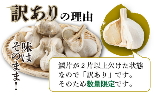 【訳あり】にんにく1kg【国産 にんにく 新鮮 野菜 長期保存 健康 贈り物 ギフト 東北 青森県 七戸町 送料無料】【02402-0331】