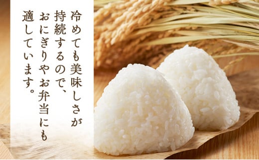 【令和7年産】瀬川農場まっしぐら 精米10kg【ご飯 ごはん 米 こめ お米 弁当 精米 一等米 国産米 県産米 ブランド米 おにぎり 国産 青森県 七戸町】【02402-0334】 10kg