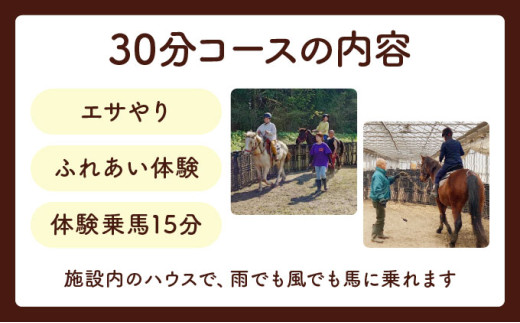 ホースレジャーinしちのへ 30分乗馬体験【乗馬 体験 青森県 七戸町】【02402-0346】