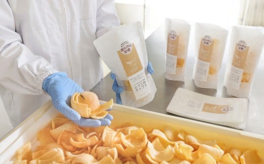 とりこめおすすめセット（とりこめチップス2種各1個・麹のとりこ3個）【02402-0367】