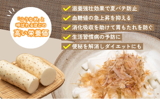 青森県産"ネバリスター"スティック (80g×10個) 【長芋 山芋 イチョウ芋 大和芋 粘り 小分け パック 個包装 簡単 便利 プレーン 青森県 東北】【02402-0381】