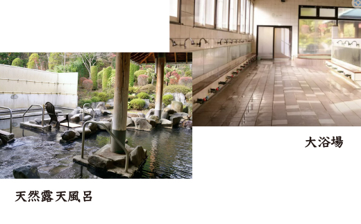 ほっとプラザ　杉の子温泉　入浴回数券 11枚セット　【02402-0406】