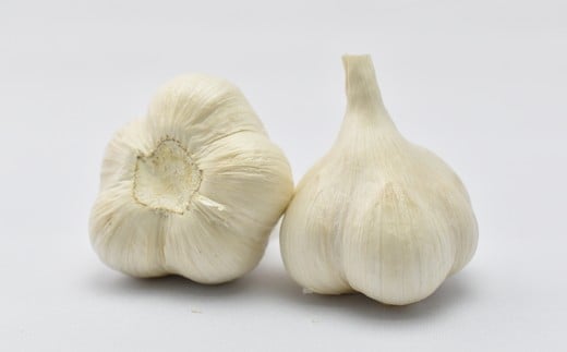 【2026年7月発送】【早期予約品】貴重な生にんにく（1kg）　【02402-0089】