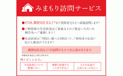 みまもり訪問サービス（３か月）【02402-0203】