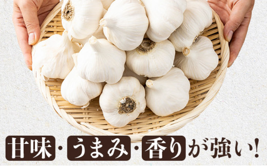 抑臭にんにく ALサイズ2kg 【国産 にんにく A級品 ALサイズ 新鮮 野菜 長期保存 健康 贈り物 ギフト 東北 青森県 七戸町 送料無料】【02402-0320】