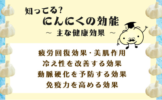 キッチンガーリックあらぎりボトルセット【にんにく ガーリック あらぎり ボトル セット 詰め合わせ 詰め替え 簡単 調理 加工品 調味料 ギフト のし 熨斗 東北 青森 七戸町】【02402-0325】