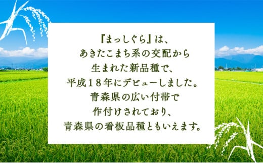 【令和7年産】瀬川農場まっしぐら 精米10kg【ご飯 ごはん 米 こめ お米 弁当 精米 一等米 国産米 県産米 ブランド米 おにぎり 国産 青森県 七戸町】【02402-0334】 10kg