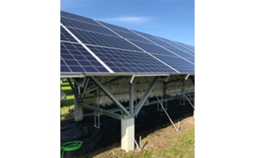 乾燥きくらげ（30g）×4袋　【02402-0427】