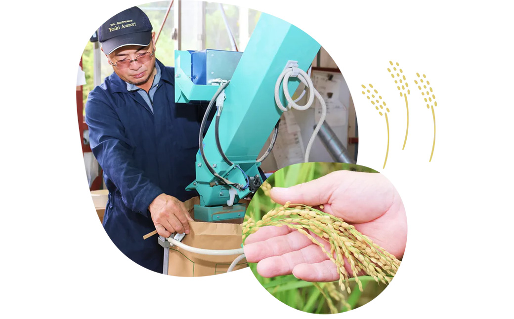 【令和7年産】まっしぐら精米　5kg　【02402-0584】