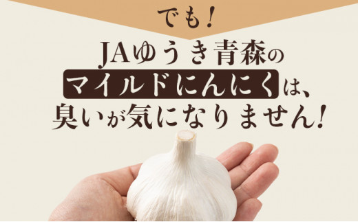 マイルドにんにく A級品 Lサイズ3kg【国産 にんにく A級品 Lサイズ 新鮮 野菜 長期保存 健康 贈り物 ギフト 東北 青森県 七戸町 送料無料】【02402-0318】