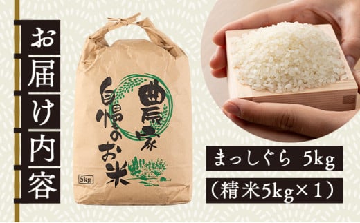 【令和7年産新米】瀬川農場まっしぐら 精米5kg【ご飯 ごはん 米 こめ お米 弁当 精米 一等米 国産米 県産米 ブランド米 おにぎり 国産 青森県 七戸町】【02402-0333】 5kg