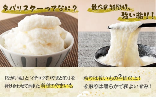 【3ヶ月定期便】ネバリスター冷凍とろろパック(50g×30個) 【長芋 山芋 イチョウ芋 大和芋 とろろ 粘り 冷凍 小分け パック 個包装 簡単 便利 プレーン 贈り物 贈答 ギフト 青森県 東北】【02402-0341】