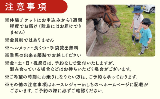 ホースレジャーinしちのへ 30分乗馬体験【乗馬 体験 青森県 七戸町】【02402-0346】