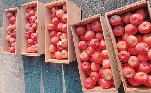 とりこめチップス2種とりんご玄米茶のセット（とりこめチップス2種各1個・りんご玄米茶1個）【02402-0369】