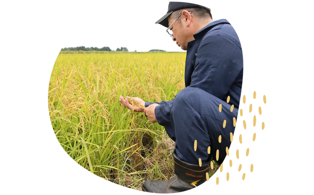 【令和7年産】まっしぐら精米　5kg　【02402-0584】