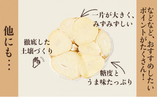 マイルドにんにく A級品 Lサイズ3kg【国産 にんにく A級品 Lサイズ 新鮮 野菜 長期保存 健康 贈り物 ギフト 東北 青森県 七戸町 送料無料】【02402-0318】