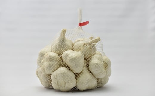 【2026年7月発送】【早期予約品】貴重な生にんにく（1kg）　【02402-0089】