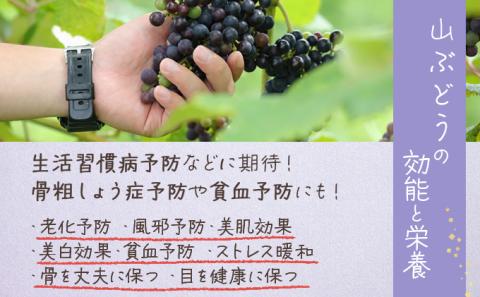 七戸町産 山ぶどうジュース（720ml×2本）【02402-0010】