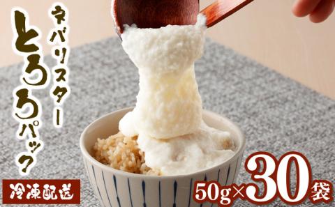 ネバリスターのとろろパック【02402-0216】