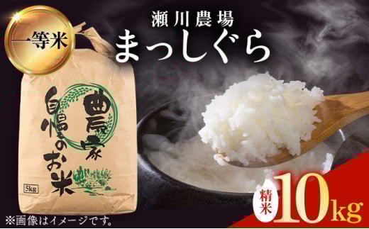 【令和7年産】瀬川農場まっしぐら 精米10kg【ご飯 ごはん 米 こめ お米 弁当 精米 一等米 国産米 県産米 ブランド米 おにぎり 国産 青森県 七戸町】【02402-0334】 10kg