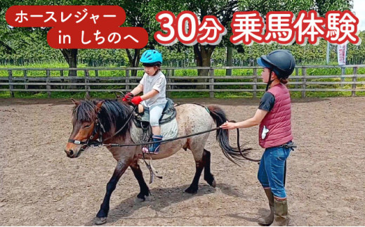 ホースレジャーinしちのへ 30分乗馬体験【乗馬 体験 青森県 七戸町】【02402-0346】