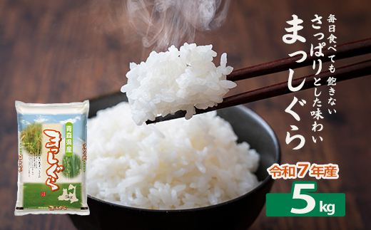 【令和7年産】青森県産まっしぐら精米　5kg　【02402-0462】