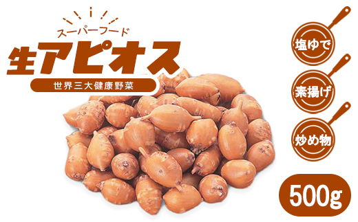 生アピオス　500g　【02402-0483】