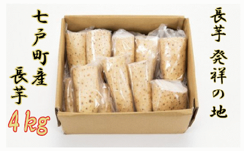 【七戸産】 長芋 ４ｋｇ（家庭用カット／真空パック）　【02402-0005】
