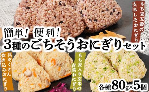 簡単・便利 3種のごちそうおにぎりセット[02402-0258]