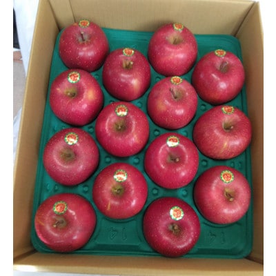 「青森県五戸町産」サンふじりんご　約5kg(12～20玉)【配送不可地域：離島・沖縄県】