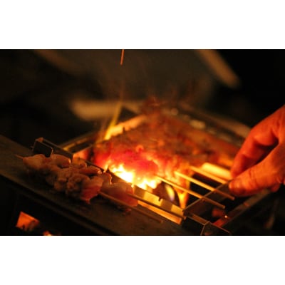 フェニックスライズ　ジビエグリル【配送不可地域：離島・沖縄県】