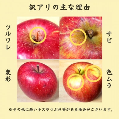 青森りんご サンふじ約3kg【訳あり・家庭用】【配送不可地域：離島・沖縄県・中国・四国・九州】